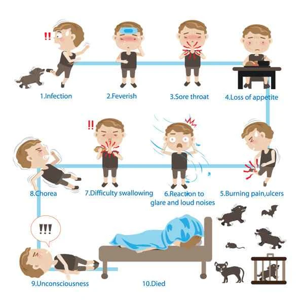 What five signs indicate the onset of stomach cancer?