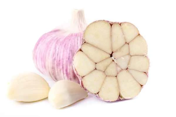 Is garlic helpful for treating intestinal polyps?