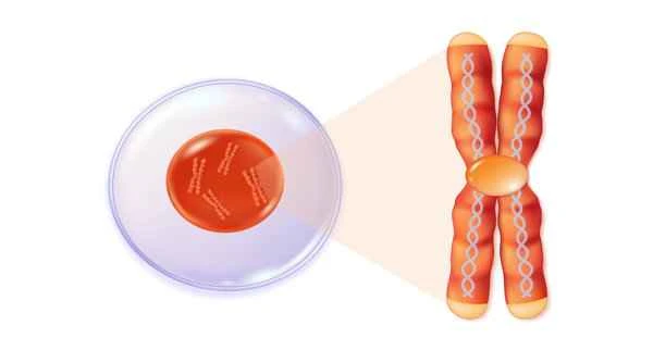 Why do intestinal polyps frequently develop?