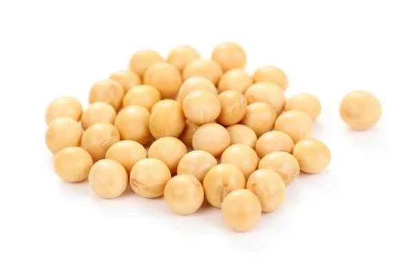 Can patients with intestinal obstruction eat soybeans?
