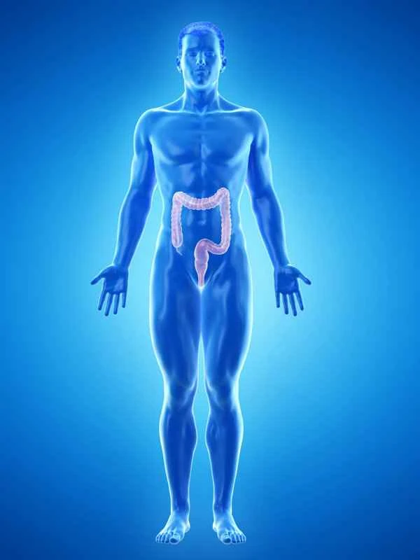 What are the symptoms of intestinal obstruction?